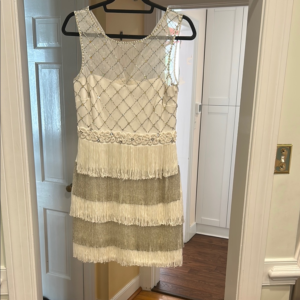 Badgley Mischka White And Silver Fringe Mini Dress